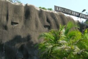 Arignar Anna Zoological Park – Chennai