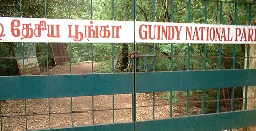 Guindy National Park