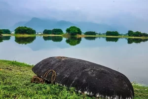 Mookaneri Lake, Salem