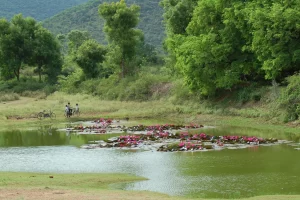 Nilgiris Biosphere Nature Park