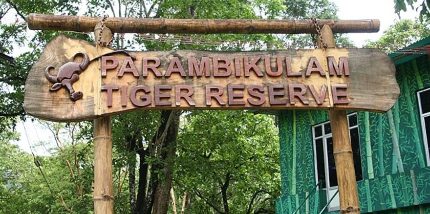 Top Slip – Parambikulam Tiger Reserve