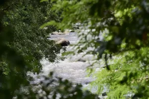 Puliyancholai Falls – Trichy