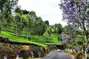 Coonoor