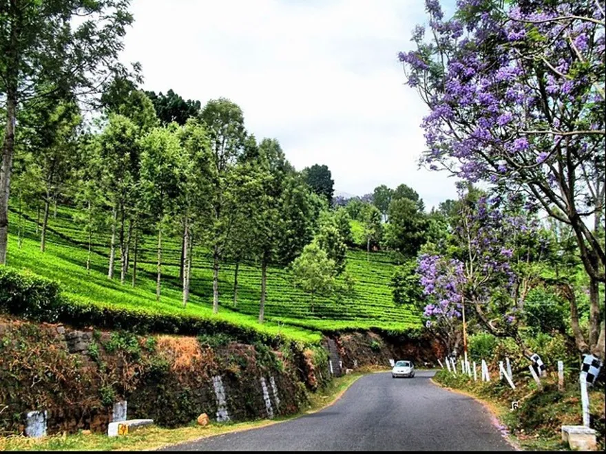 Coonoor