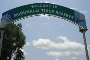 Mudumalai National Park