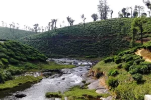 Valparai Hill Station