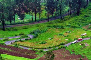 Explore Ooty: A Comprehensive Travel Guide