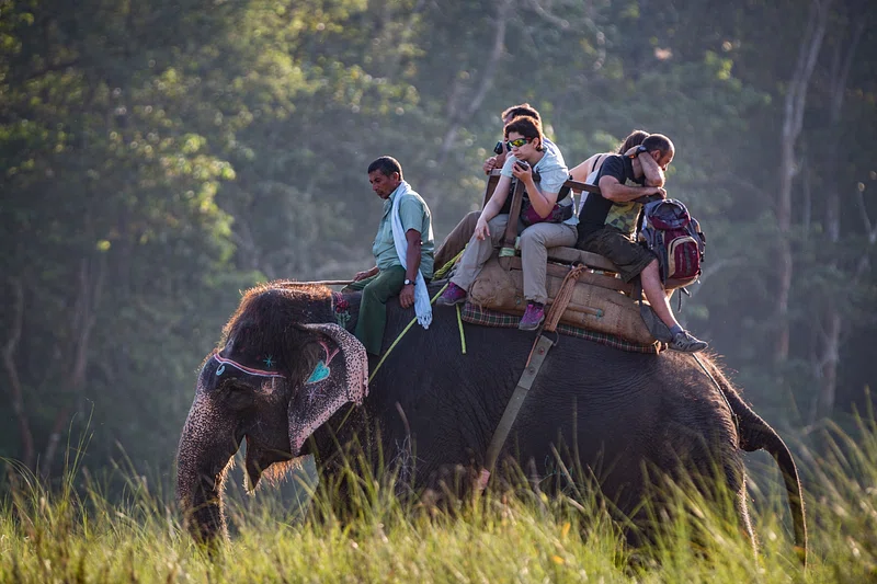 Adventure Activities in Tamilnadu