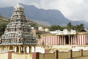 Chitra Sabai Sivan Temple – Kuttralam
