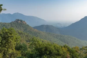 Javadu Hills, Tiruvannamalai