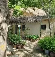 Virupaksha cave, Tiruvannamalai