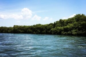 Karangadu Mangrove Forest and boating experience