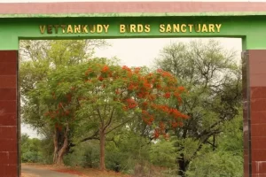 Vettangudi Bird Sanctuary – Sivaganga