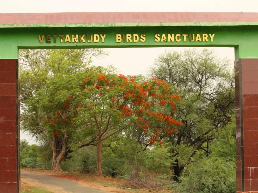 Vettangudi Bird Sanctuary – Sivaganga