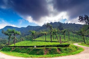 Manjolai Hills: A Nature Lover’s Retreat