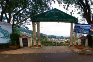 Government Rose Garden – Ooty