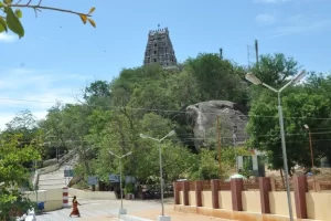 Viralimalai Murugan Temple: Tamil Nadu’s Spiritual Hill Shrine