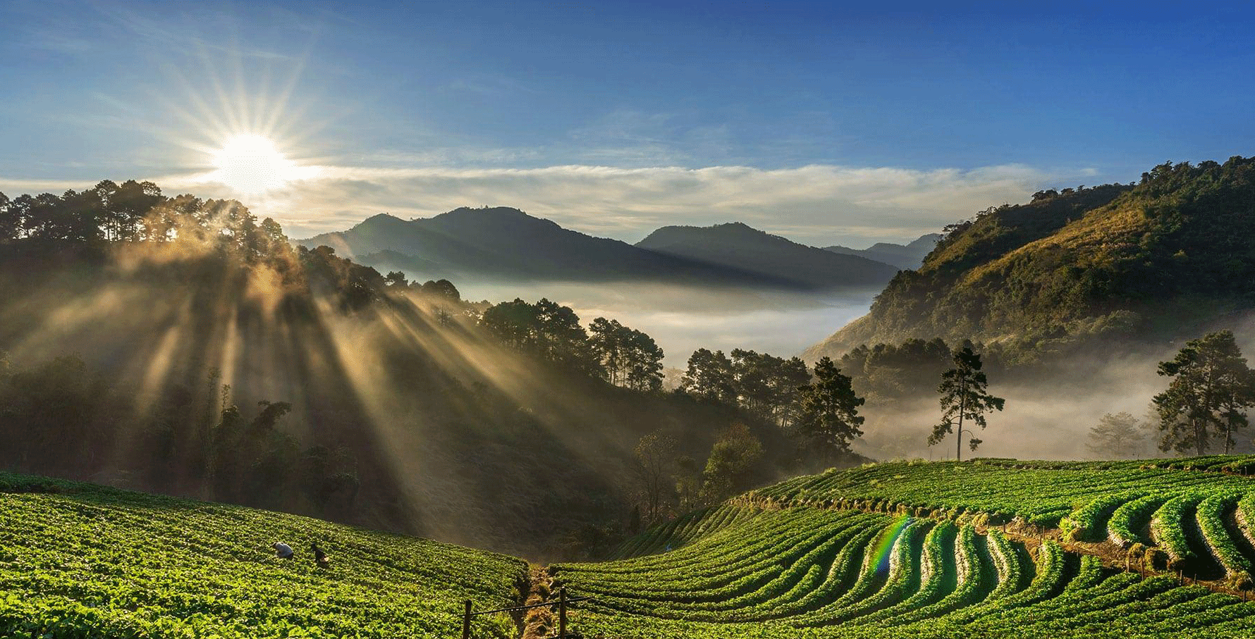 Top 10 Hill Stations in Tamil Nadu – A Traveler’s Guide