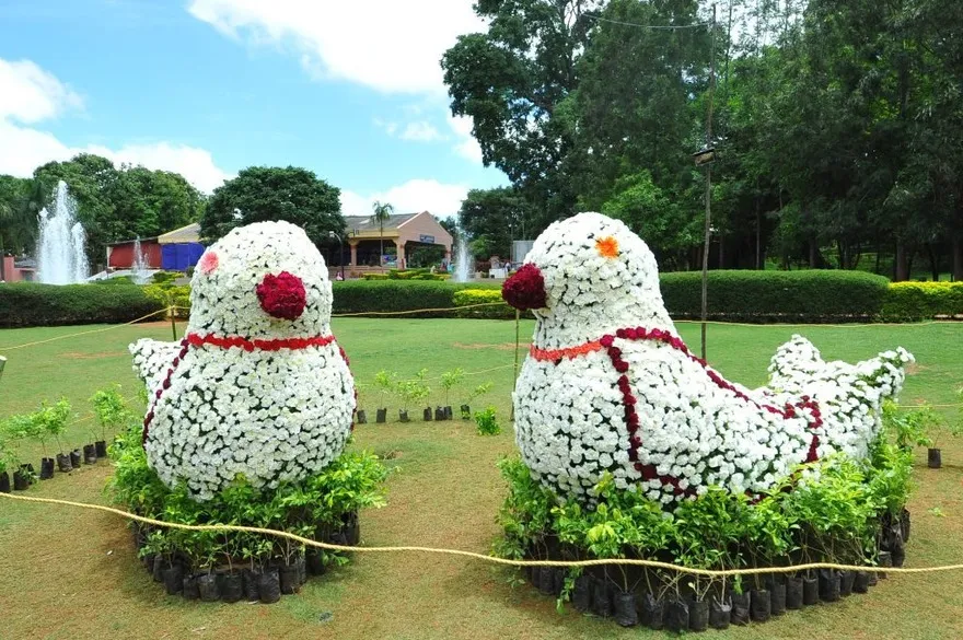 Yelagiri Hills garden