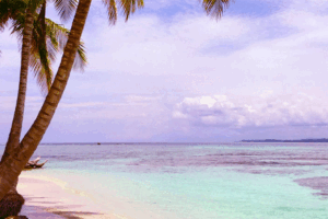 Best beaches to visit in Tamil Nadu