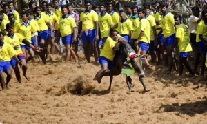 Jallikattu Event