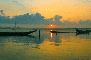 Pulicat Lake Chennai – History, Wildlife, Timings & Travel Guide